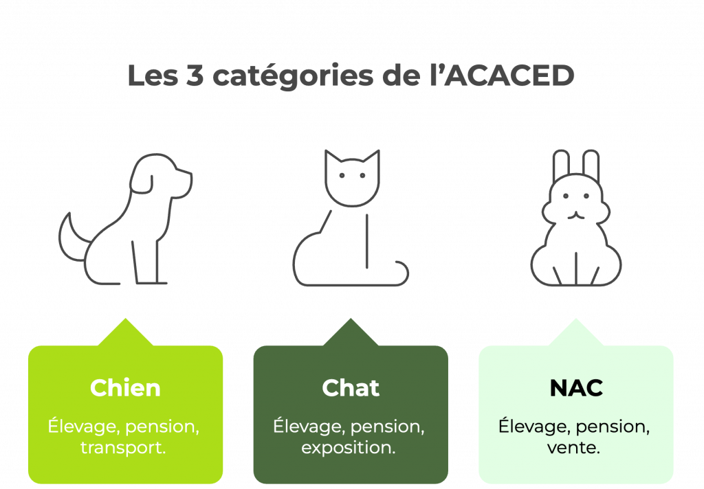 categories acaced chien chat nac formation animaux