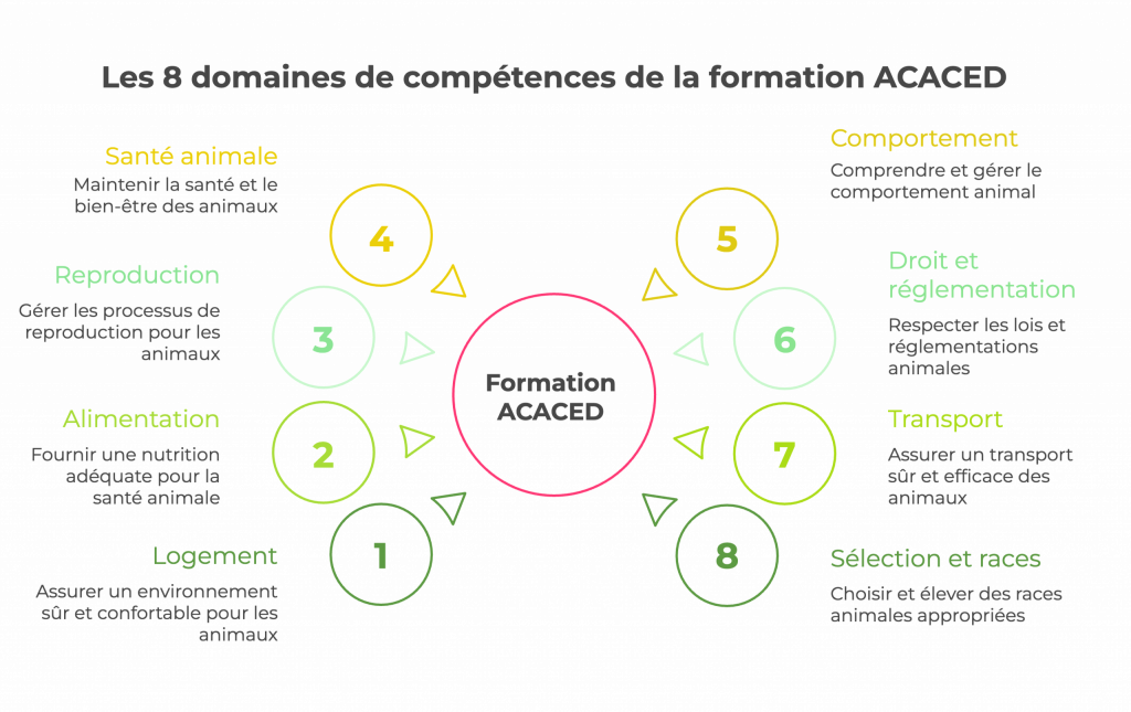 les 8 domaines de compétences de la formation acaced
