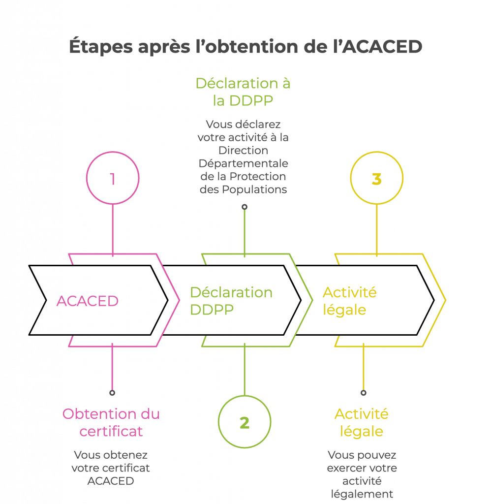 etapes apres obtention acaced declaration ddpp activite legale